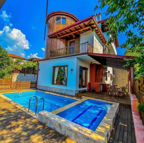 Villa Y1 with Hot Pool, Jacuzzi , Sauna - Sapanca